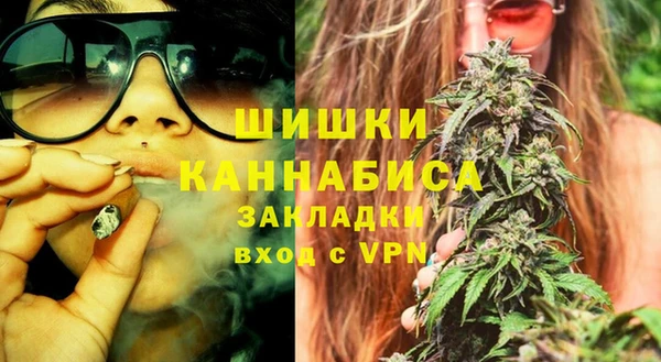 шишки Арсеньев